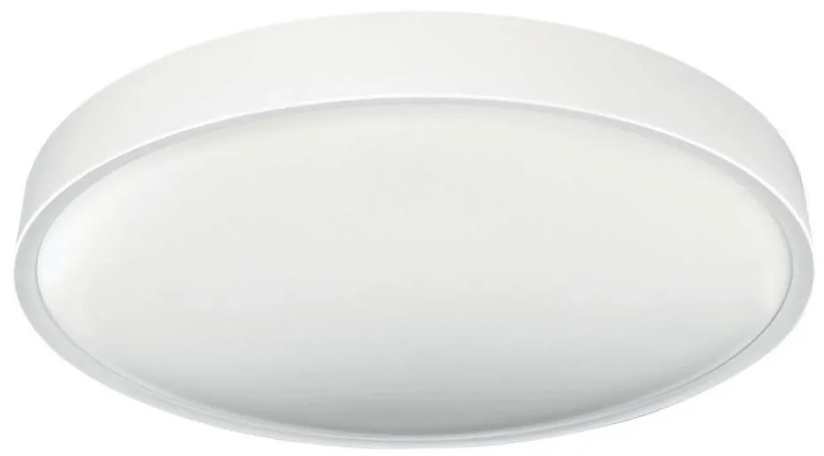 LED Stropné svietidlo SAMER LED/24W/230V 4000K