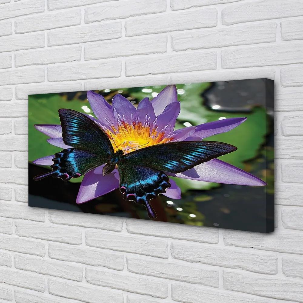 Obraz na plátne motýľ kvetina 120x60 cm