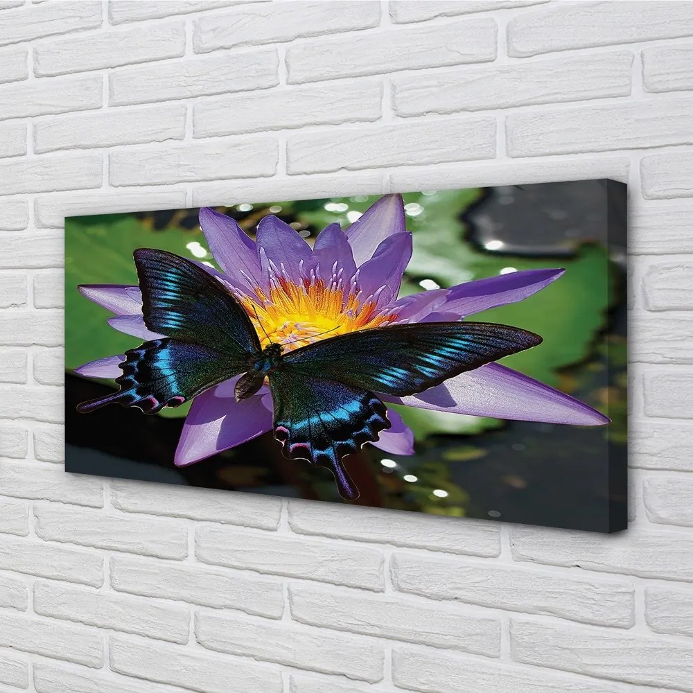 Obraz na plátne motýľ kvetina 125x50 cm