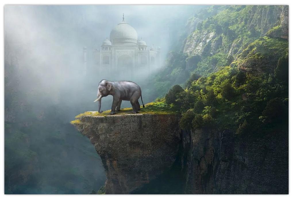Obraz - Sloník na vrchole Taj Mahal (90x60 cm)