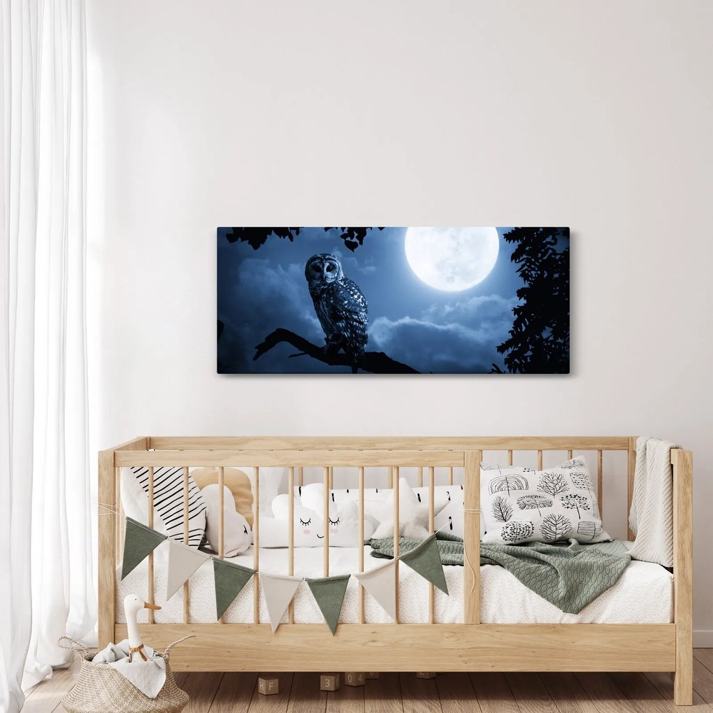 Obraz - Nočná sova (120x50 cm)