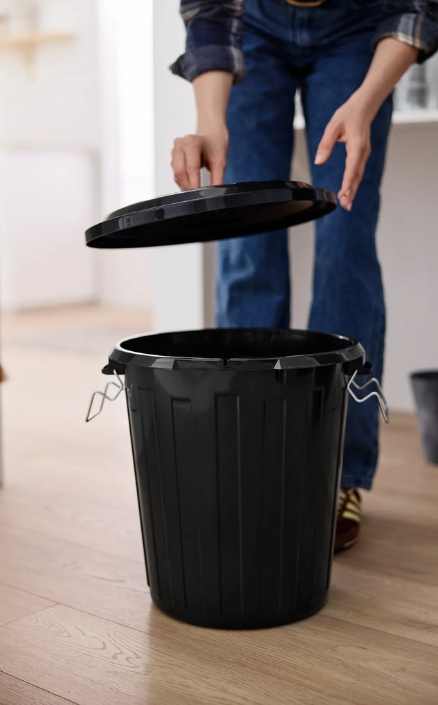 Rotho Odpadkový koš s víkem a kovovými zámky MINI POPELNICE 25l
