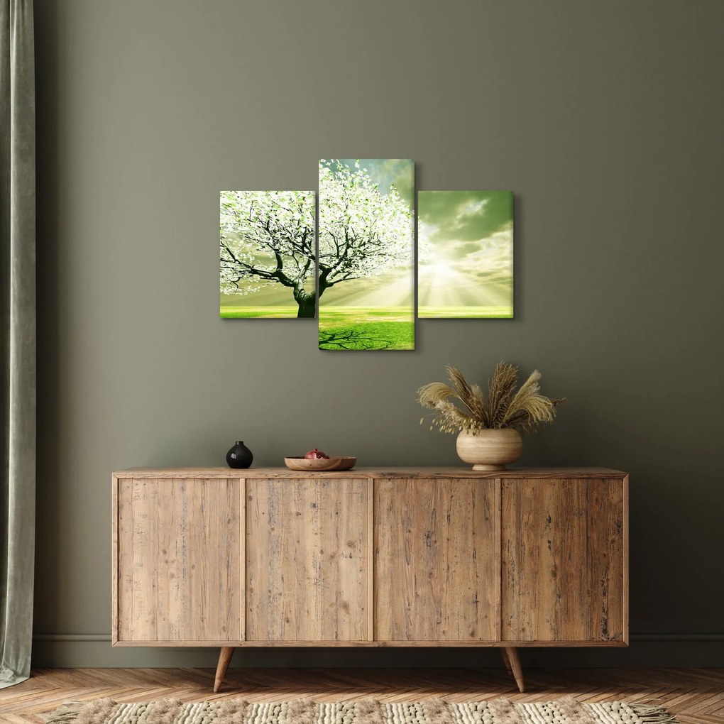 Obraz stromu na lúke (90x60 cm)