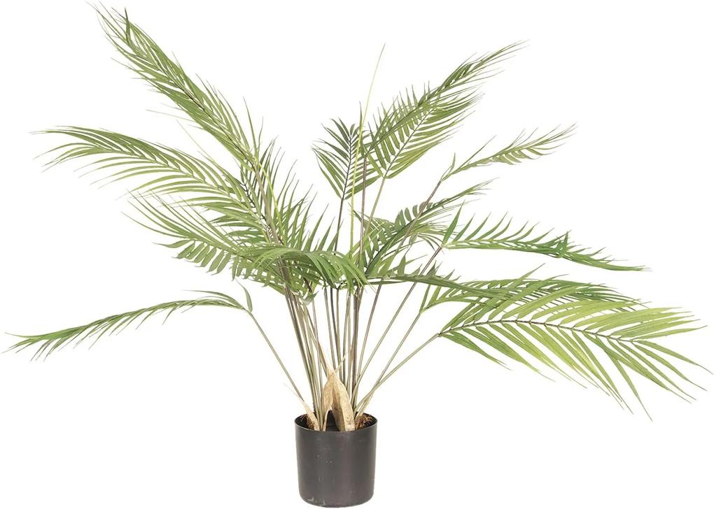 Dekorácie izbová rastlina kwai - 68 * 70 * 70 cm