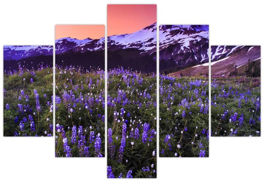 Obraz - Sopka a kvety (150x105 cm)