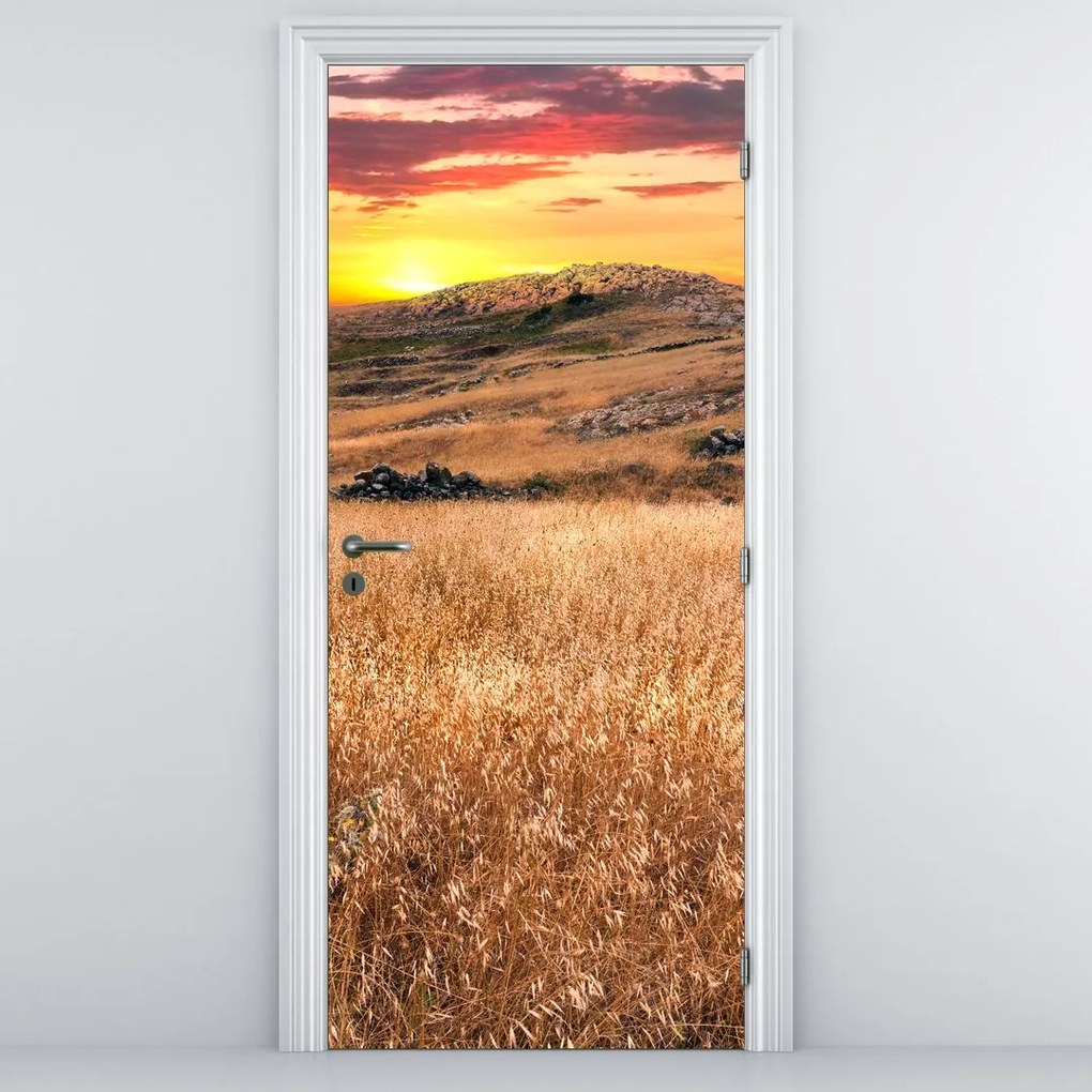 Fototapeta na dvere - Pole (95x205cm)