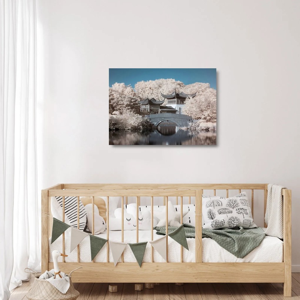 Sklenený obraz - Rozkvitnuté stromy v Ázii (70x50 cm)