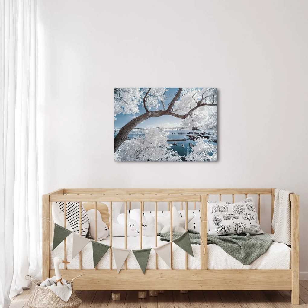 Obraz zasneženého stromu pri vode (70x50 cm)