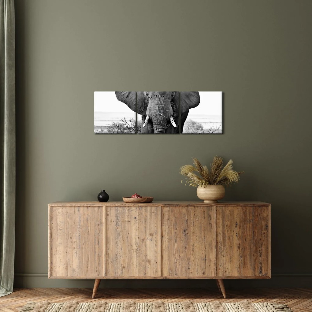 Obraz - Slon africký II. (s hodinami) (90x30 cm)
