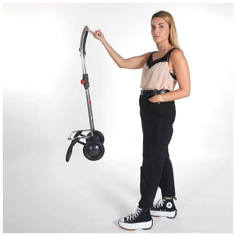 Nákupná taška na kolieskach 43 l Mini Bag MF 2 Logic – Rolser