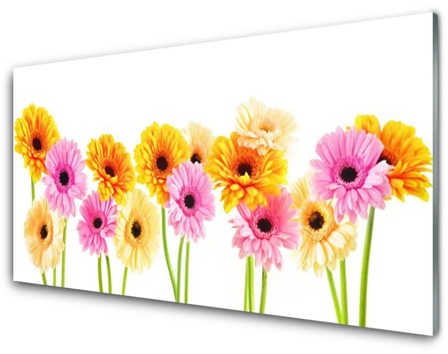 Skleneny obraz Farebné kvety gerbery 125x50 cm
