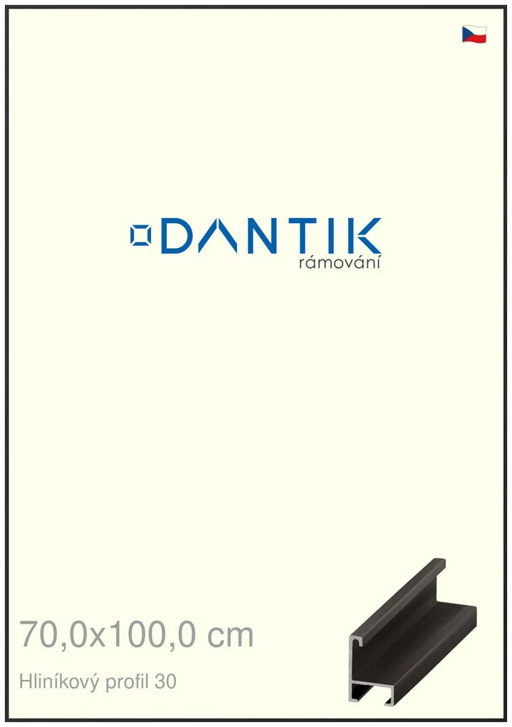 DANTIK rám na obraz 70x100 | ALU Černá matná (Plexi Čiré)