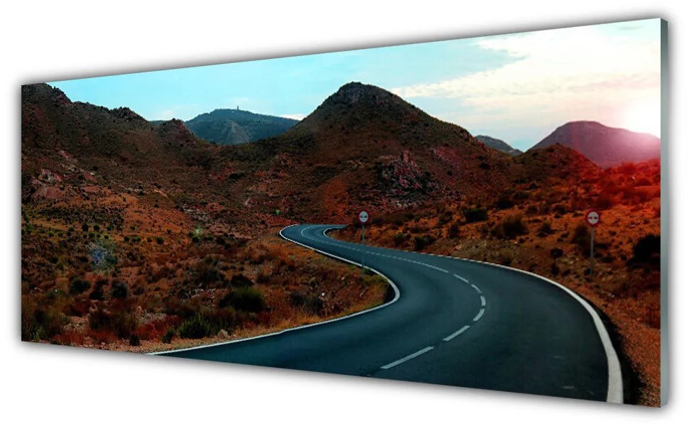 Obraz plexi Cesta hory púšť 125x50 cm