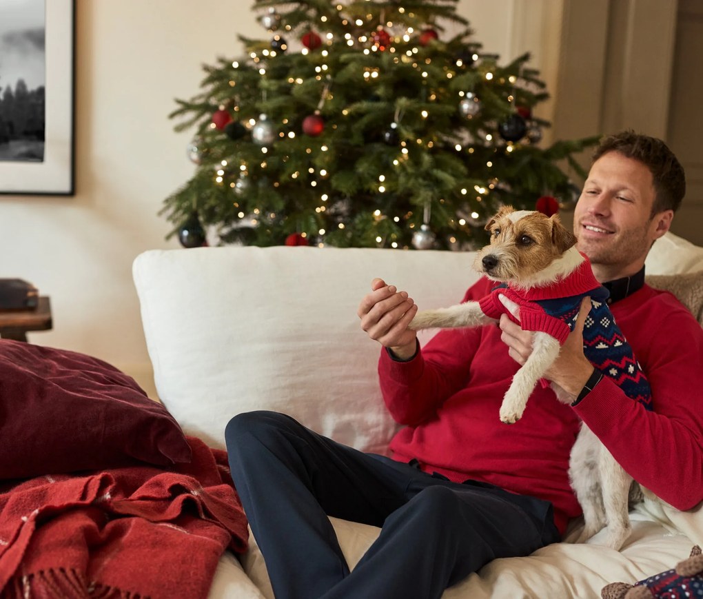 Plyšová hračka pre psy, jazvečík