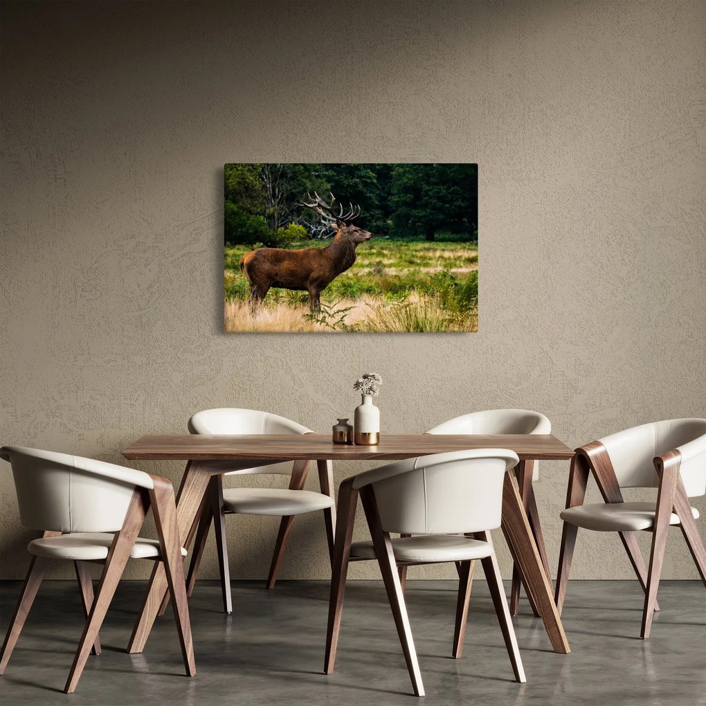 Obraz jeleňa (90x60 cm)