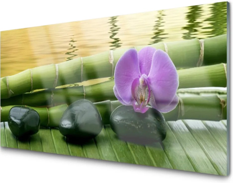 Obraz na akrylátovom skle Kvet Kamene Bambus Príroda