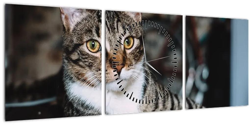 Obraz mačky (s hodinami) (90x30 cm)
