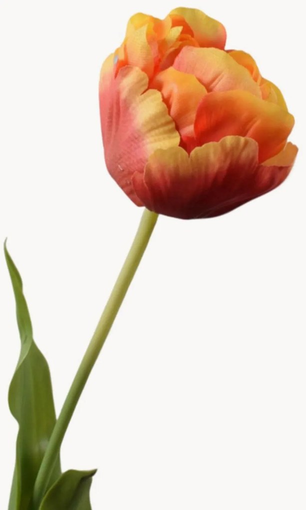 Rastlinné dekorácie Tulipe, 2 ks