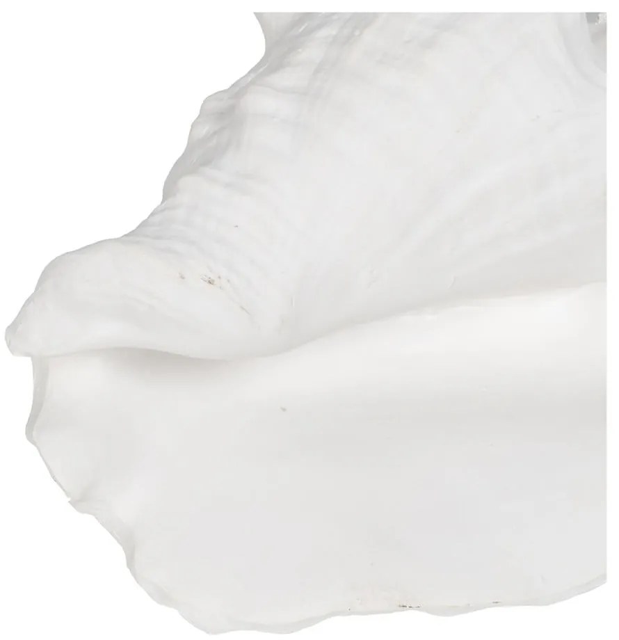 Soška z polyresínu (výška 13 cm) Seashell – Ixia