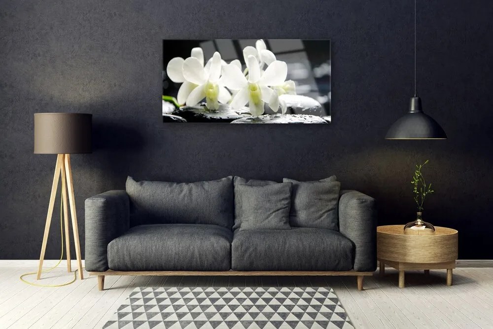 Skleneny obraz Kamene kvety orchidea 120x60 cm