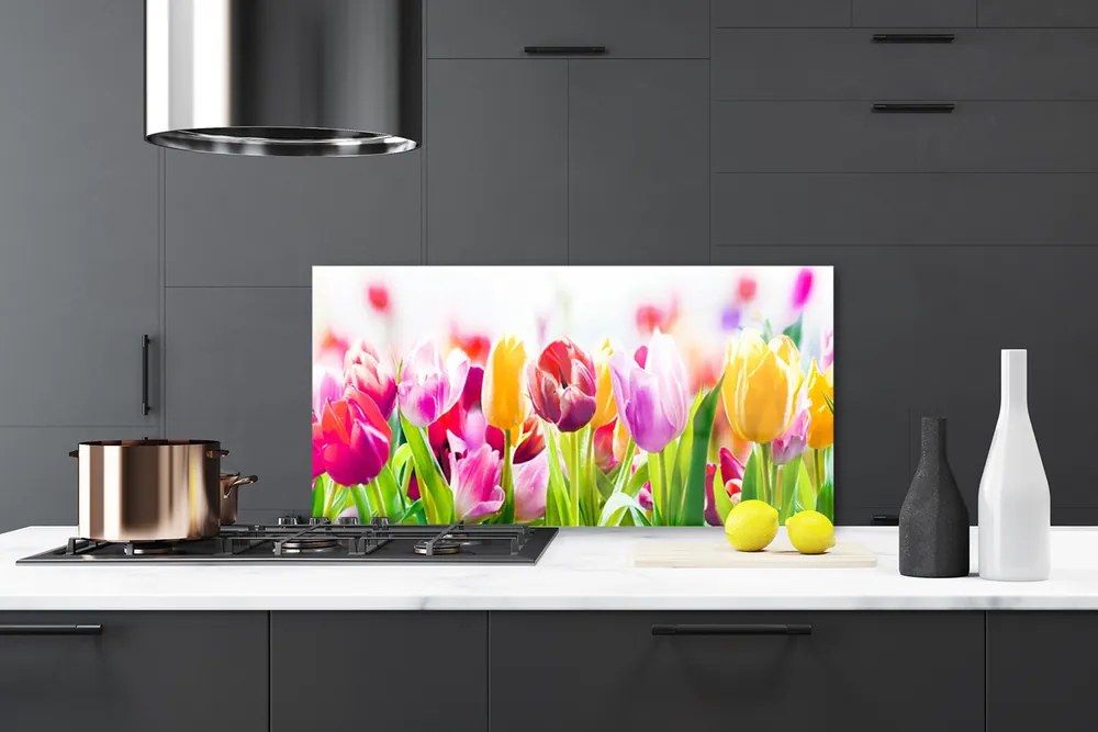 Nástenný panel  Tulipány kvety 100x50 cm