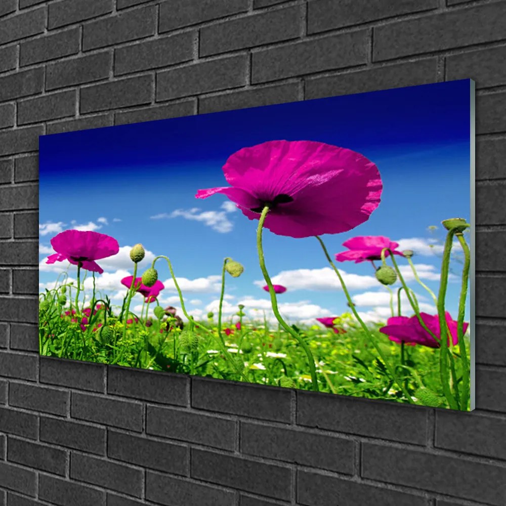 Skleneny obraz Lúka kvety nebo príroda 100x50 cm