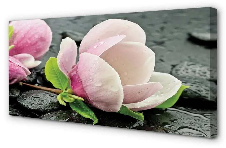 Obraz canvas Magnolia kamene 140x70 cm