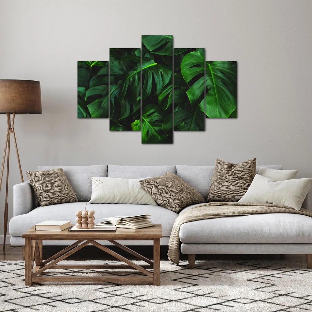 Obraz listov Monstery (150x105 cm)