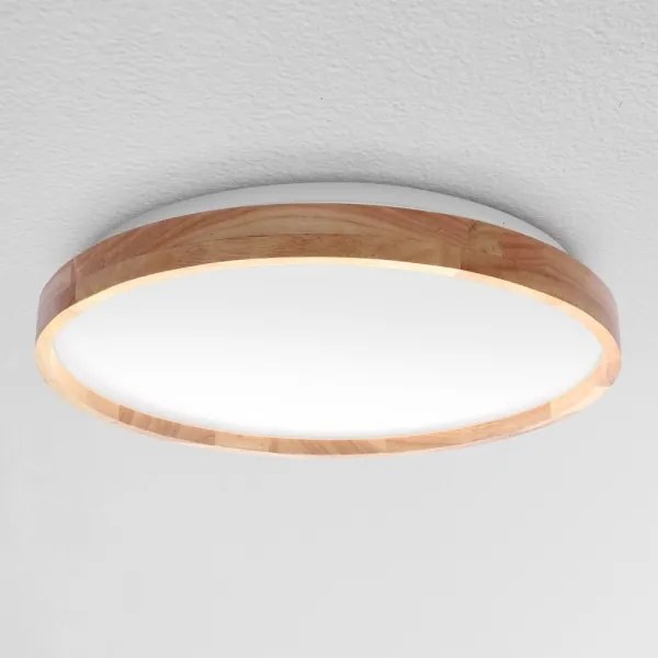 Brilagi - LED Stmievateľné stropné svietidlo ALSON LED/48W/230V 3000-6500K + DO