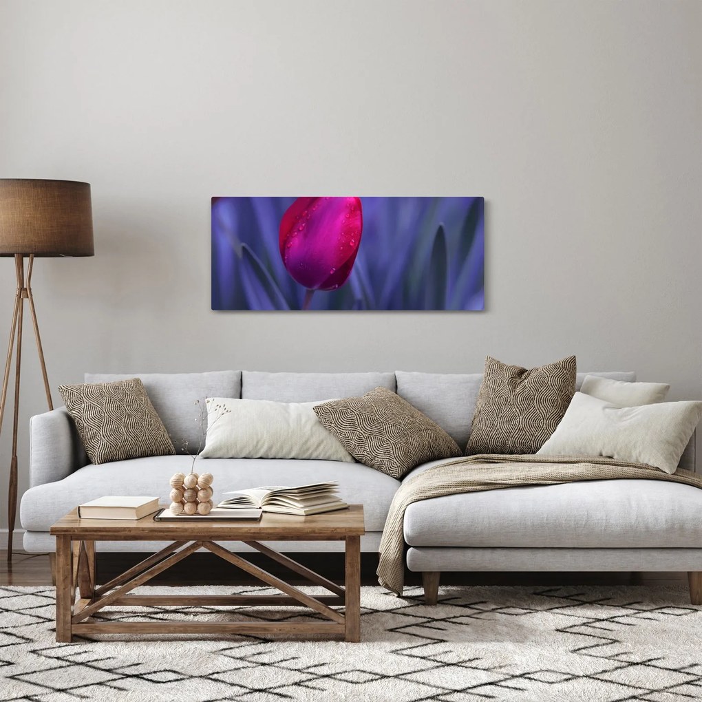 Obraz pupete tulipánu (120x50 cm)
