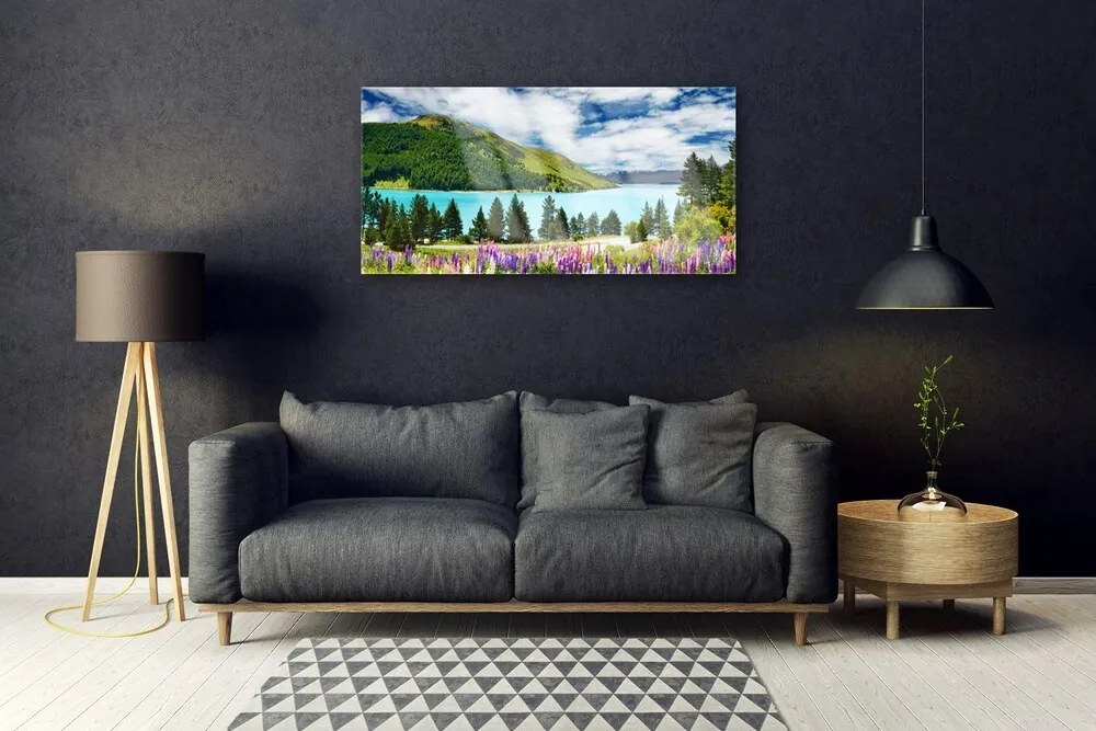 Obraz plexi Hora les jazero príroda 100x50 cm