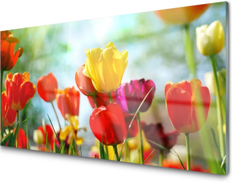Obraz na akrylátovom skle Kvet