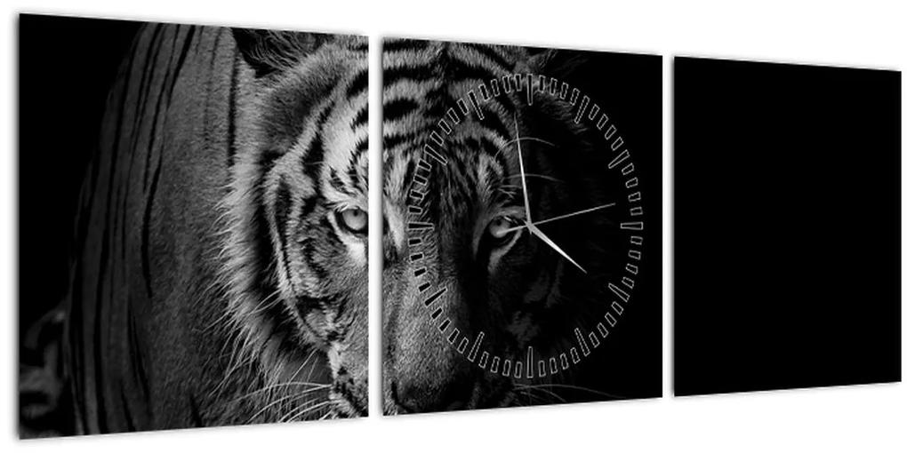 Obraz divokého tigra (s hodinami) (90x30 cm)