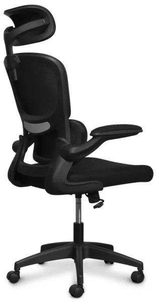 CONNECT IT COC-2500-BK - Kancelárska stolička ForHealth DeltaPro čierna