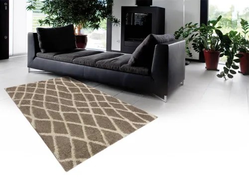 Koberce Breno Kusový koberec NANO SHAG 625/GY6D, hnedá, viacfarebná,100 x 150 cm