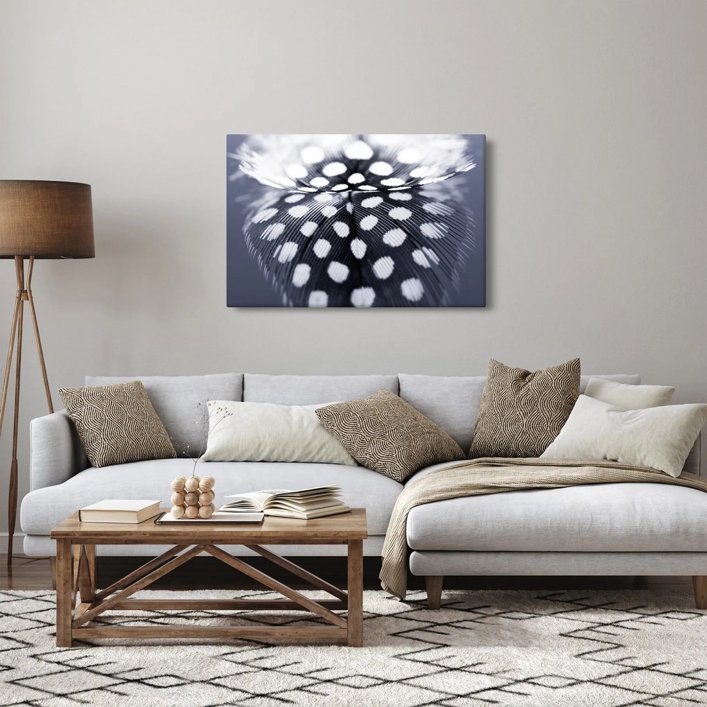 Obraz - Pierko (90x60 cm)