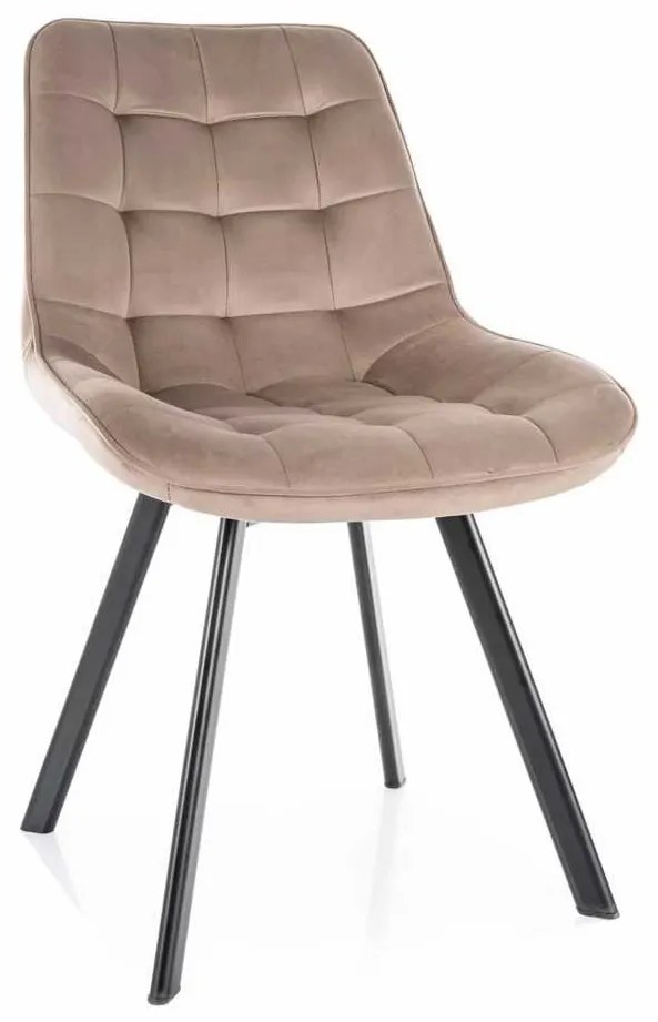 Jedálenská stolička Albons Velvet, béžová