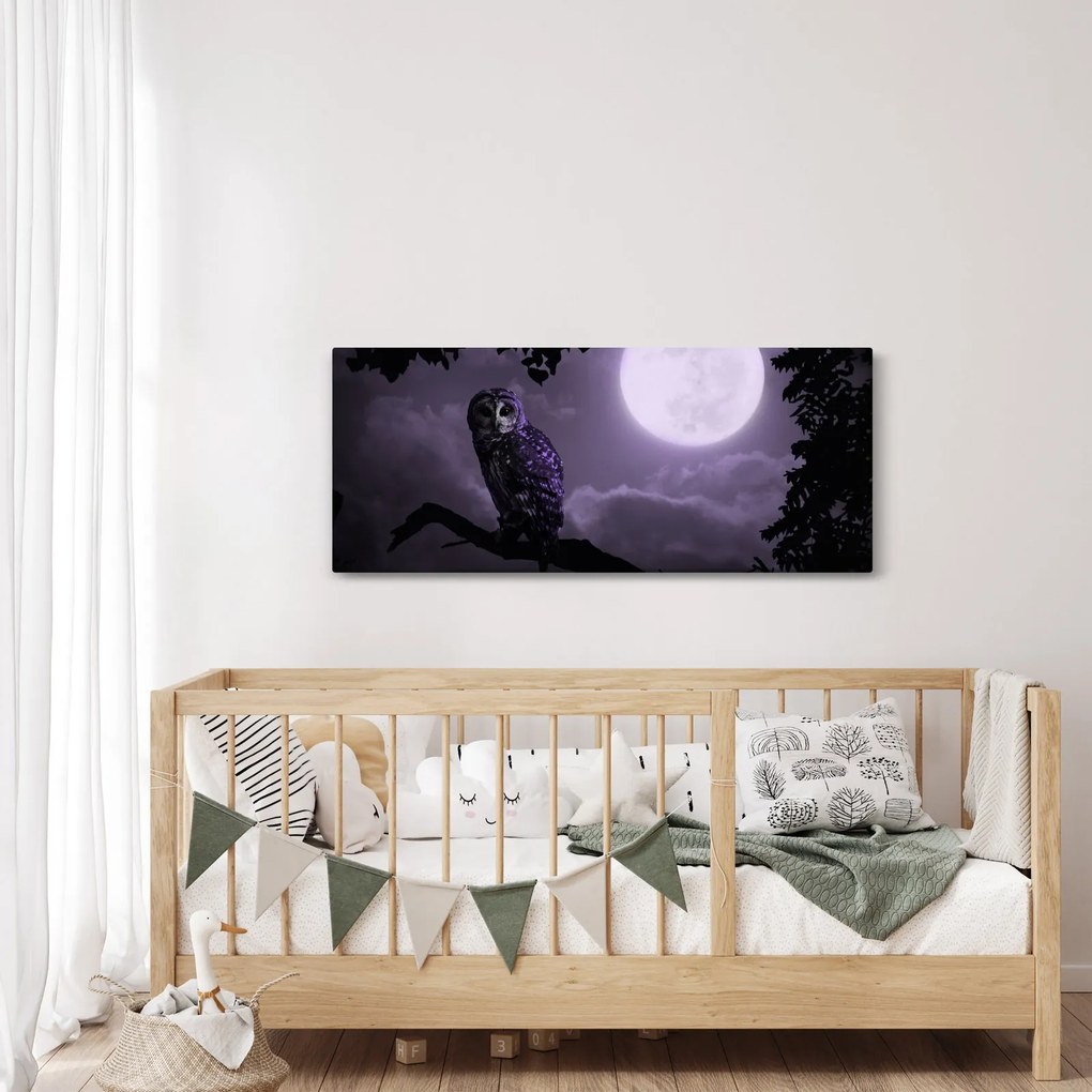 Obraz - Nočná sova, fialová (120x50 cm)