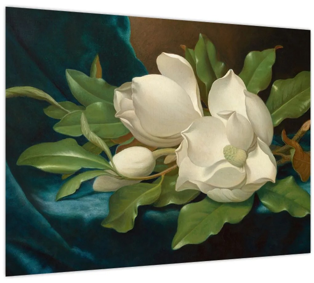 Obraz - Martin Johnson Heade, Giant Magnolias on a Blue Velvet Cloth, reprodukcia (70x50 cm)
