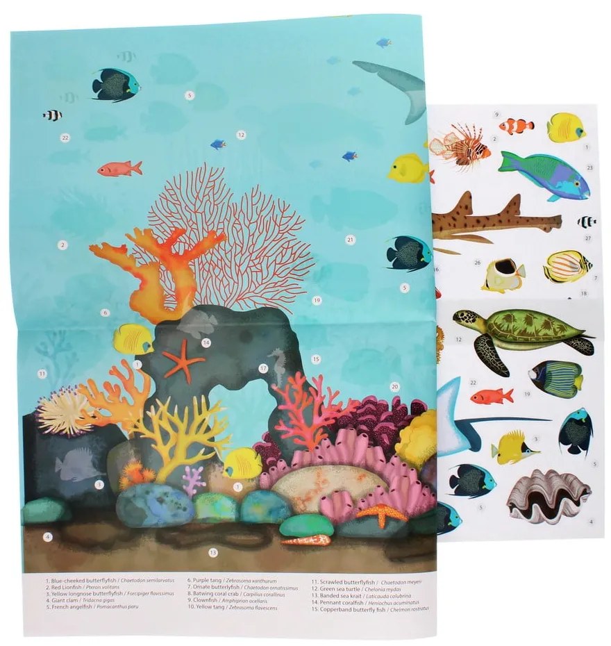 Kreatívna súprava Coral Reef – Rex London