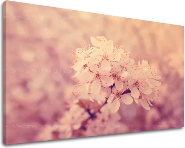 Obraz na stenu KVETY KV049E11 - 20x30 cm