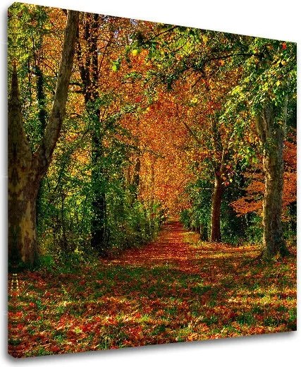 Obraz na stenu STROMY