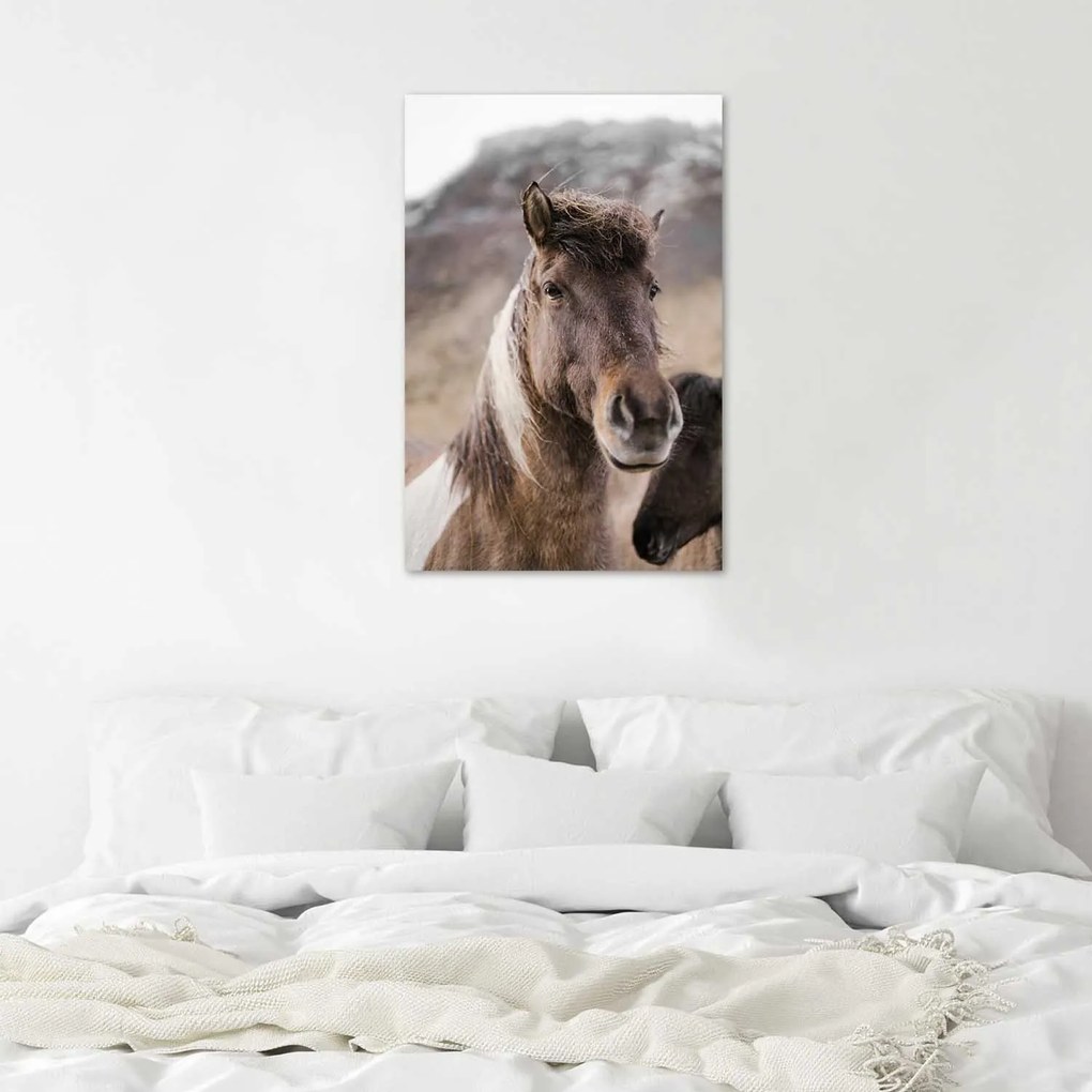 Gario Plagát Kôň na horskom pozadí Farba rámu: Bez rámu, Rozmery: 70 x 100 cm