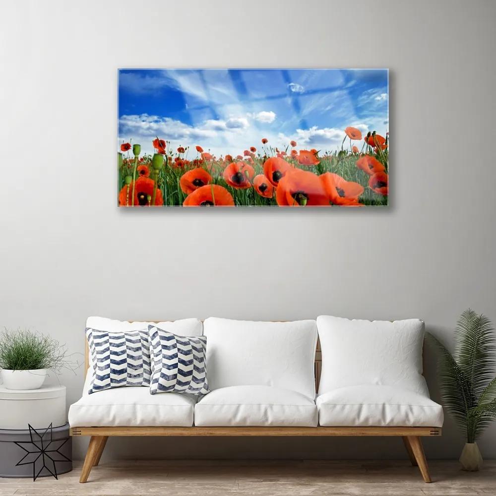Skleneny obraz Lúka maky kvety 140x70 cm