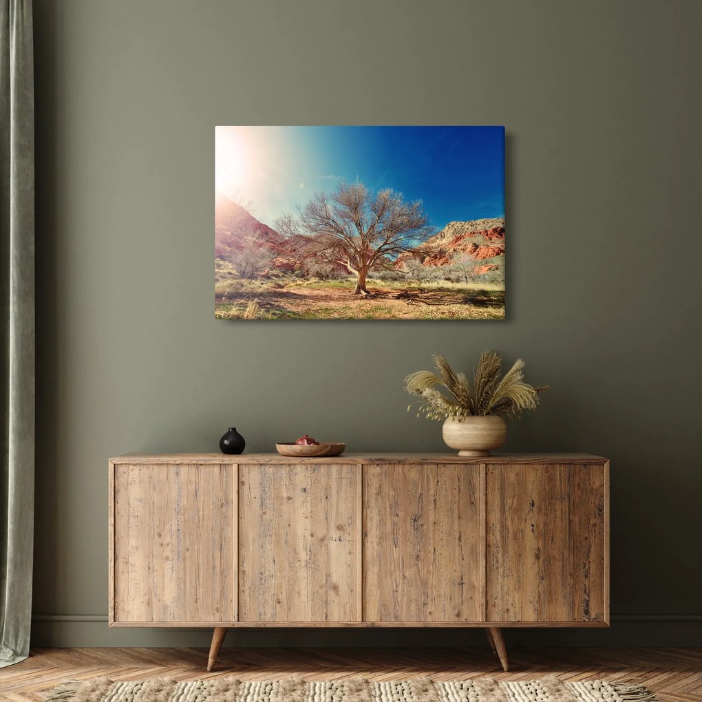 Obraz stromu v púšti (90x60 cm)