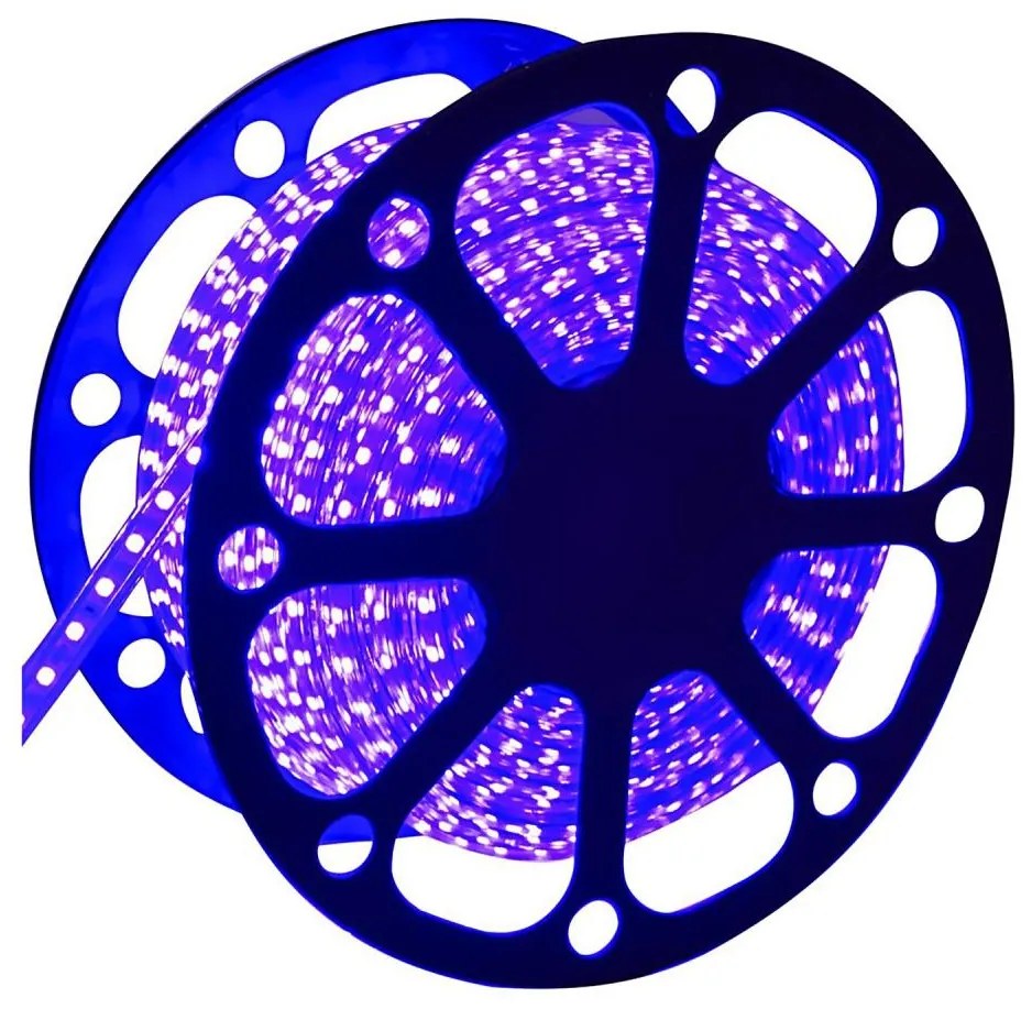 Aigostar - LED vonkajší pás 50m LED/300W/230V modrá IP65