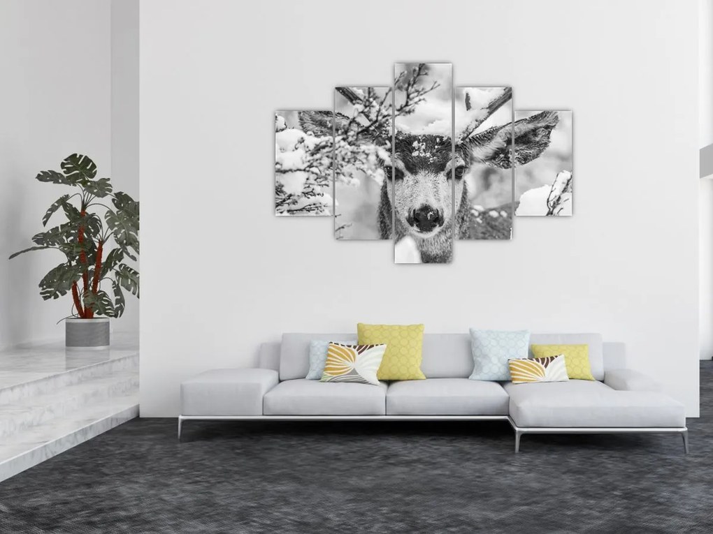 Obraz - Jeleň v zime (150x105 cm)