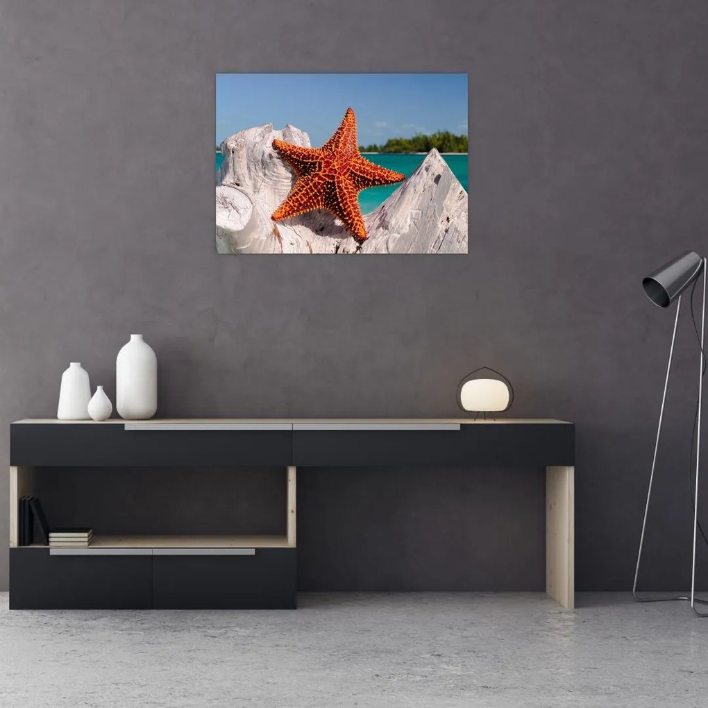 Sklenený obraz morskej hviezdice (70x50 cm)