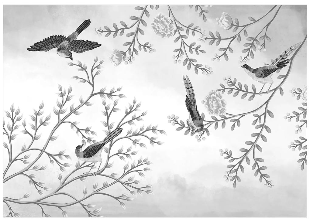 Artgeist Fototapeta - Birds in the Garden - Third Variant Veľkosť: 100x70, Verzia: Standard