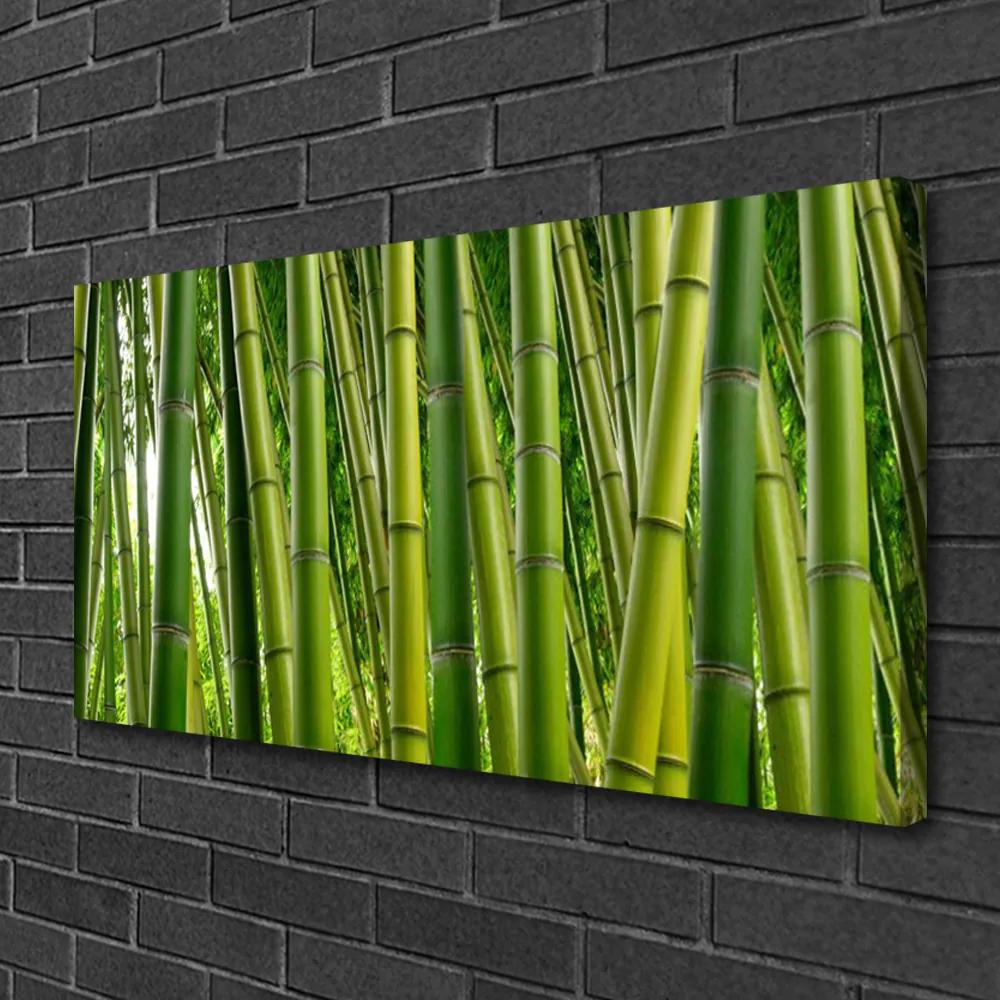 Obraz Canvas Bambusový les bambusové výhonky 120x60 cm